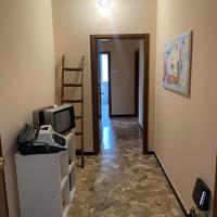 Camera Singola zona Funiva/Stadio Dall'Ara