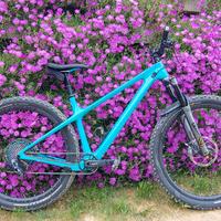 Yeti ARC XX1 AXS full carbon