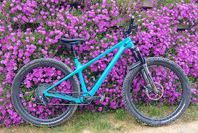 Yeti ARC XX1 AXS full carbon