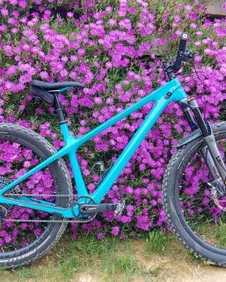 Yeti ARC XX1 AXS full carbon