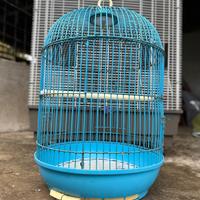 Gabbia voliera uccelli