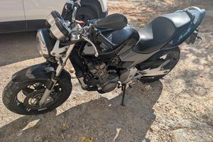 Honda Hornet 600