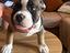 Immagine 5