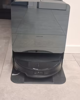 roborock