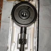 Rapporti scarabeo Piaggio originali