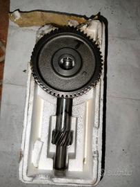 Rapporti scarabeo Piaggio originali