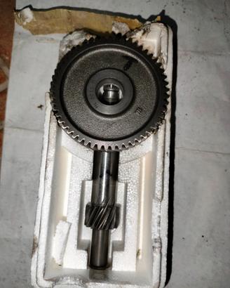 Rapporti scarabeo Piaggio originali