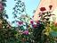 Immagine 23