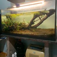 Acquario completo 150l