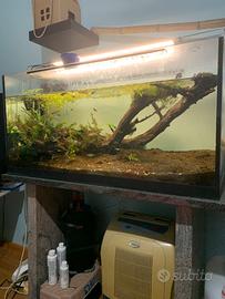 Acquario completo 150l