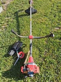 Decespugliatore a motore