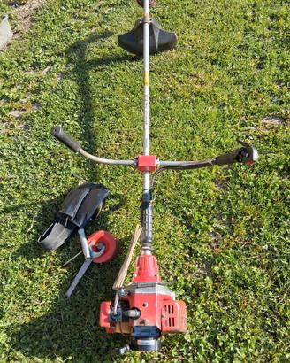 Decespugliatore a motore