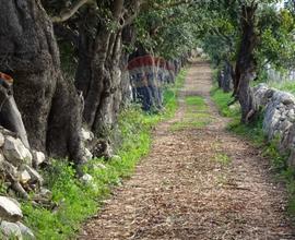 Cascina/Casale - Ragusa