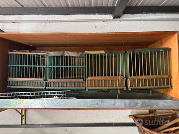 Gabbie uccelli richiamo