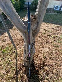Bolognese Maver Invincibile extreme 6 mt