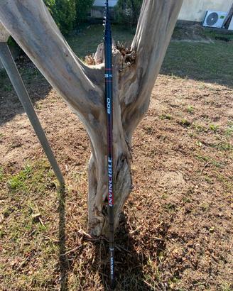 Bolognese Maver Invincibile extreme 6 mt