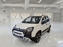 fiat-panda-1-0-70cv-s-s-hybrid-e6d-t-city-cross-5