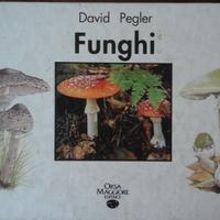 Funghi