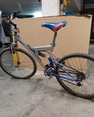 bicicletta 