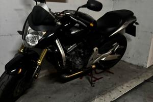 Hornet 2008
