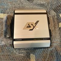 amplificatore mono classe D 