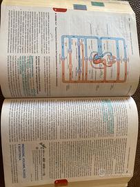 Libro fisiologia umana Silverthorn