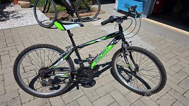 Bicicletta