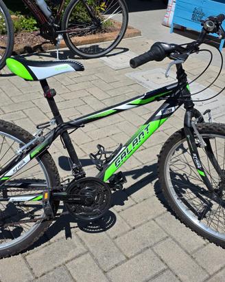 Bicicletta