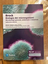 libri scolastici e universitari