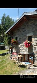 Casetta,baita per vacanze in montagna 