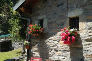 Casetta,baita per vacanze in montagna 