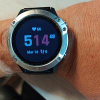 Garmin  Fenix 6