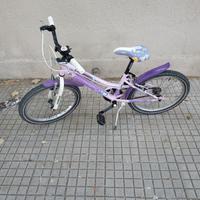 Bicicletta