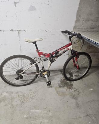 Mountain bike