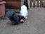 Immagine 3
