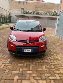 Fiat Pandina Dicembre 2024