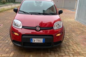 Fiat Pandina Dicembre 2024