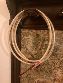 Straight Wire Maestro I