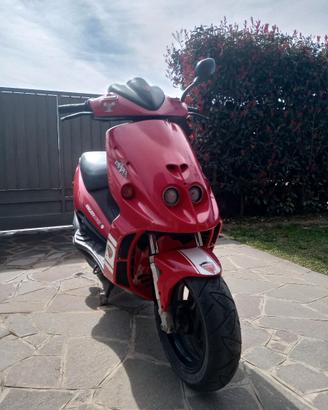 Phantom f 12 50 cc LC replica Ducati Capirex