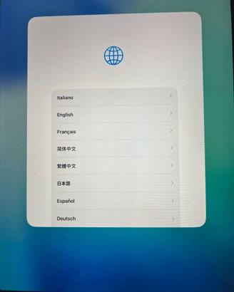 APPLE iPad 11 pro
