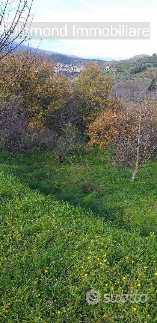 Proprietà agricola con casolare a Linguaglossa - Vista 4
