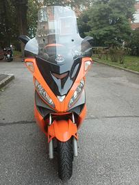 Malagust Medison 250 anno 2008