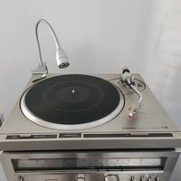 PL300 Pioneer