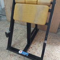 Panca Scott powerfit