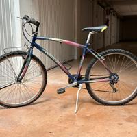 Bicicletta Atala