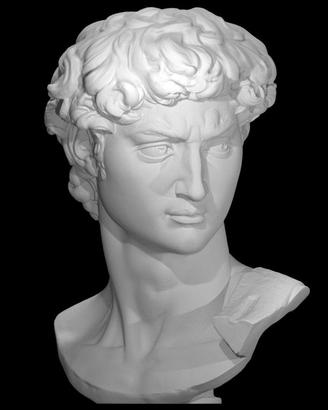 Statua Testa David di Michelangelo arredo casa