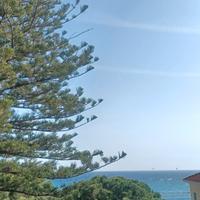 Vacanze di Pasqua in Liguria - Arma di Taggia