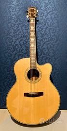 Cort Sj-10x amplificata Fishman