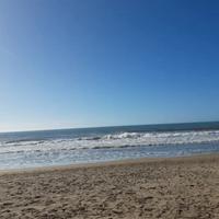 San Vincenzo giardino direttamente in spiaggia