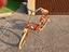 Immagine 6